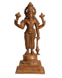 Bronze Sathya Narayanan