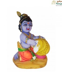 Baby Krishna