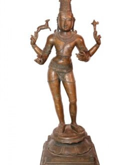 Bronze Veenadarar