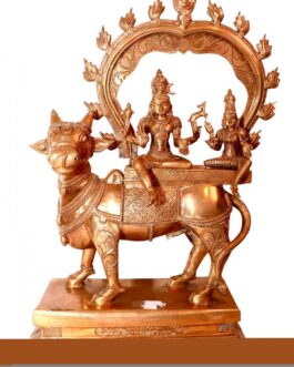Bronze Pradhosamoorthy