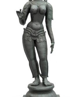 Bronze Sivagami