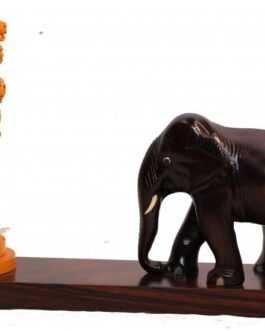 Elephant with Ashok Pillar