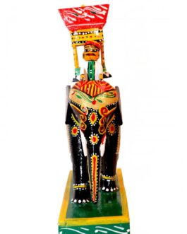 Kondapalli Ambari Elephant