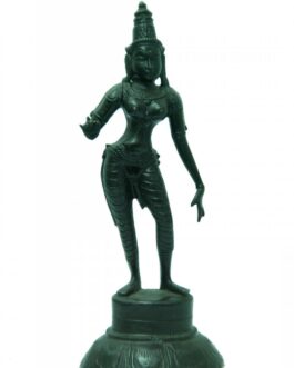 Brass Oxidised Sivagami