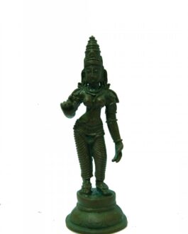 Bronze Sivagami