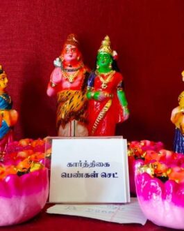 Karthigai Pengal Set