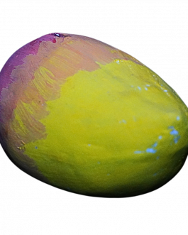 Pottery Mango Shape Money Bank