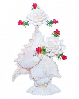 Sea Shell Showcase peice