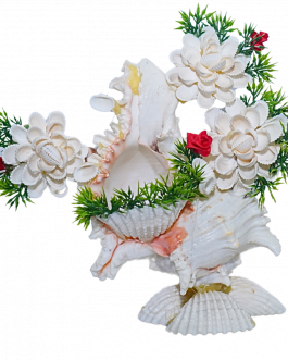 Sea Shell Showcase piece