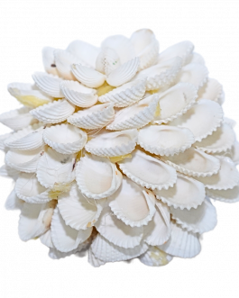 Sea Shell Flower ball