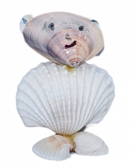 Sea Shell Doll