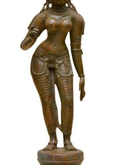 Bronze Sivagami