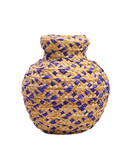 Banana fiber Pot