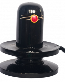 Wood Lingam big