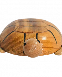 Wood Tortoise