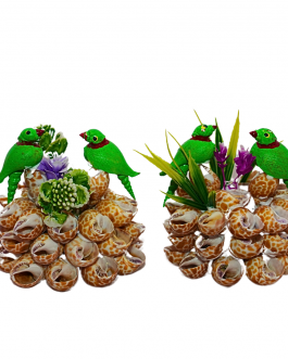 SeaShell Medium Parrot Mount