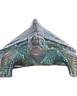 Bronze Tortoise