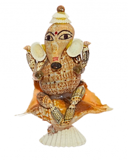 SeaShell Ganesh Small