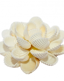 SeaShell Flower Medium