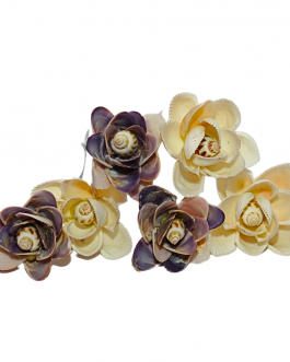 SeaShell Bouquet