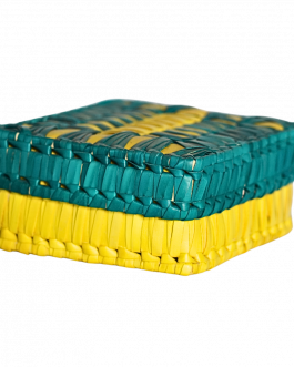 Palm leaf Square Parrot Box