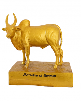 Fiber Kangeyam Kaalai