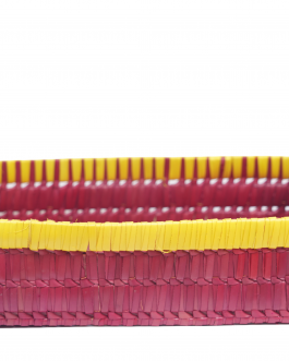 Palm leaf Rectangle Tray