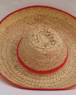 PalmLeaf Cap (Large)