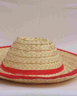 Palm Leaf Cap (Large)