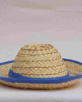 Palm Leaf Cap (Small)
