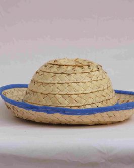 Palm Leaf Cap (Small)