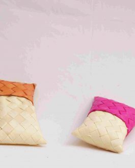 Palm leaf 3×4 Pouch