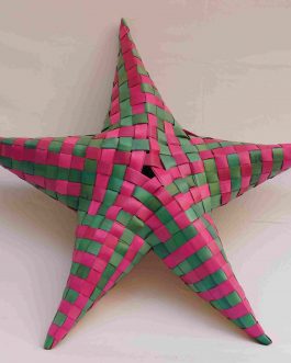 Palm Leaf Star Big