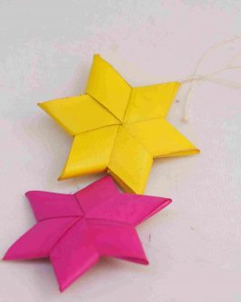 Palm Leaf Star Small