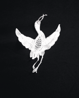 Lace Work Dress Work