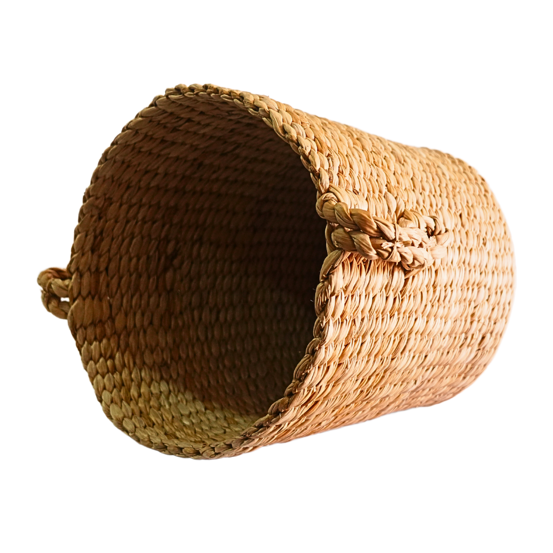 1-DSC08107