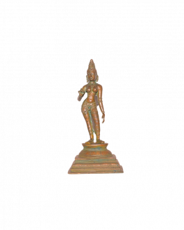 Bronze Shivagami