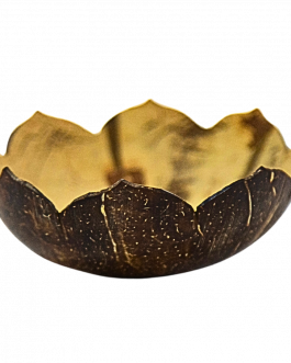 Coco Shell Snacks Bowl