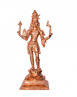 Bronze Perumal