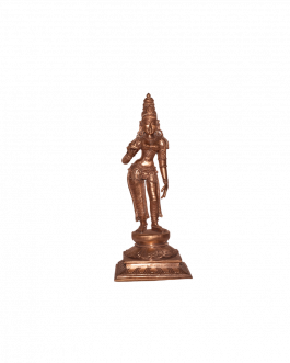 Bronze Sivagami