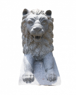 Stone Lion