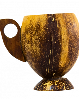 Coco Shell Cup Large
