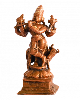Bronze Krishnan
