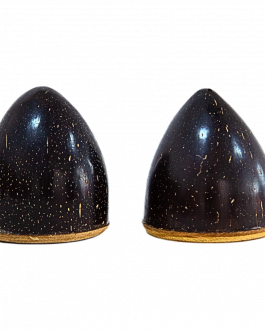 Coco Shell Salt & Pepper Box