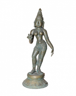 Bronze Sivagami