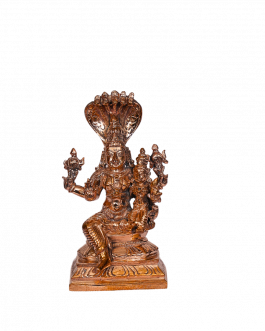 Bronze Lakshmi Narayanan