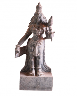 Stone Shivagami