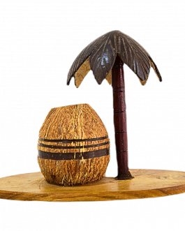Coco Shell Pen Stand