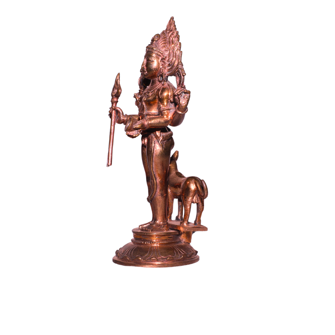 50-LAMM9742