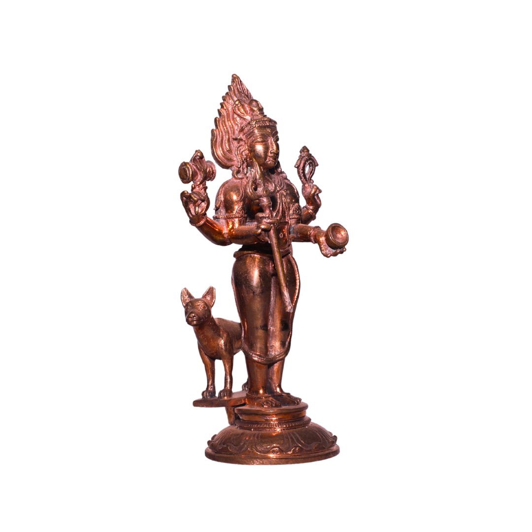 50-LAMM9743